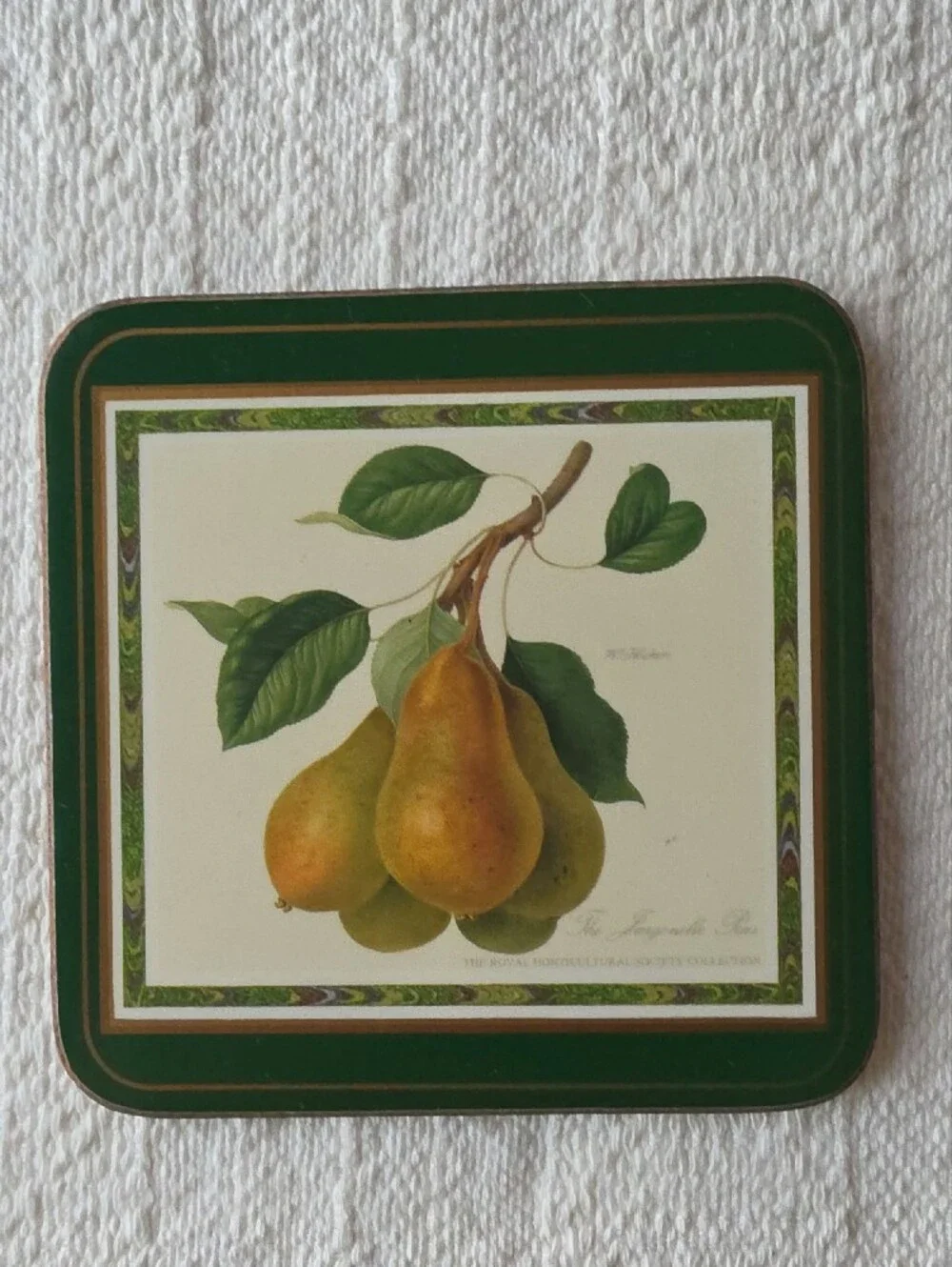 Pimpernel Vintage Botanical Fruit Coaster Set in Green and Cream